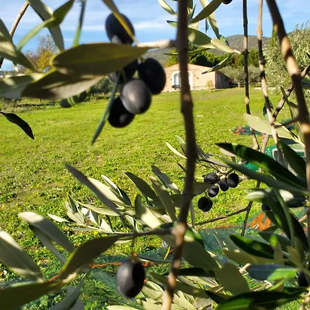Reve En Luberon Vila Lauris Exterior foto