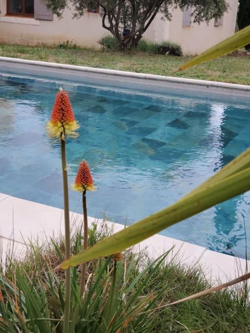 Reve En Luberon Lauris