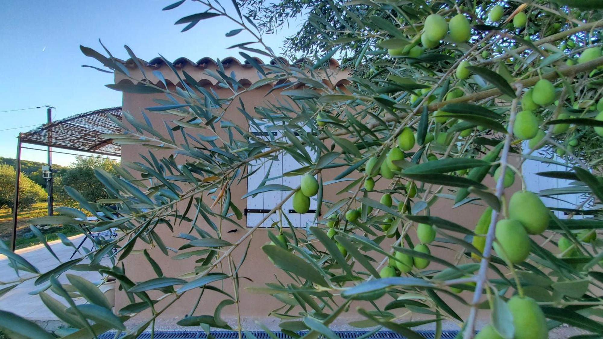 Reve En Luberon * Lauris