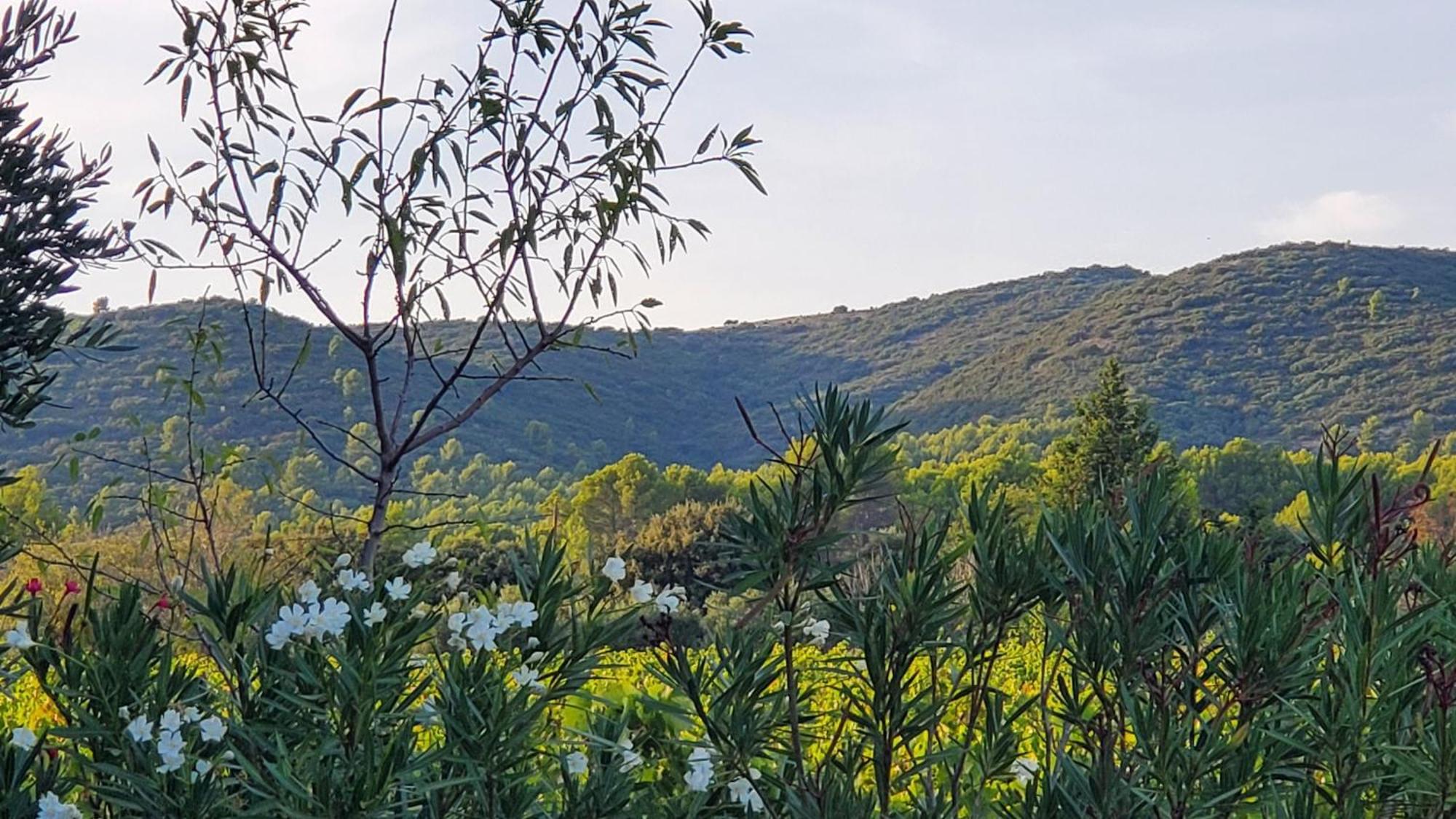Hébergement de vacances Reve En Luberon *